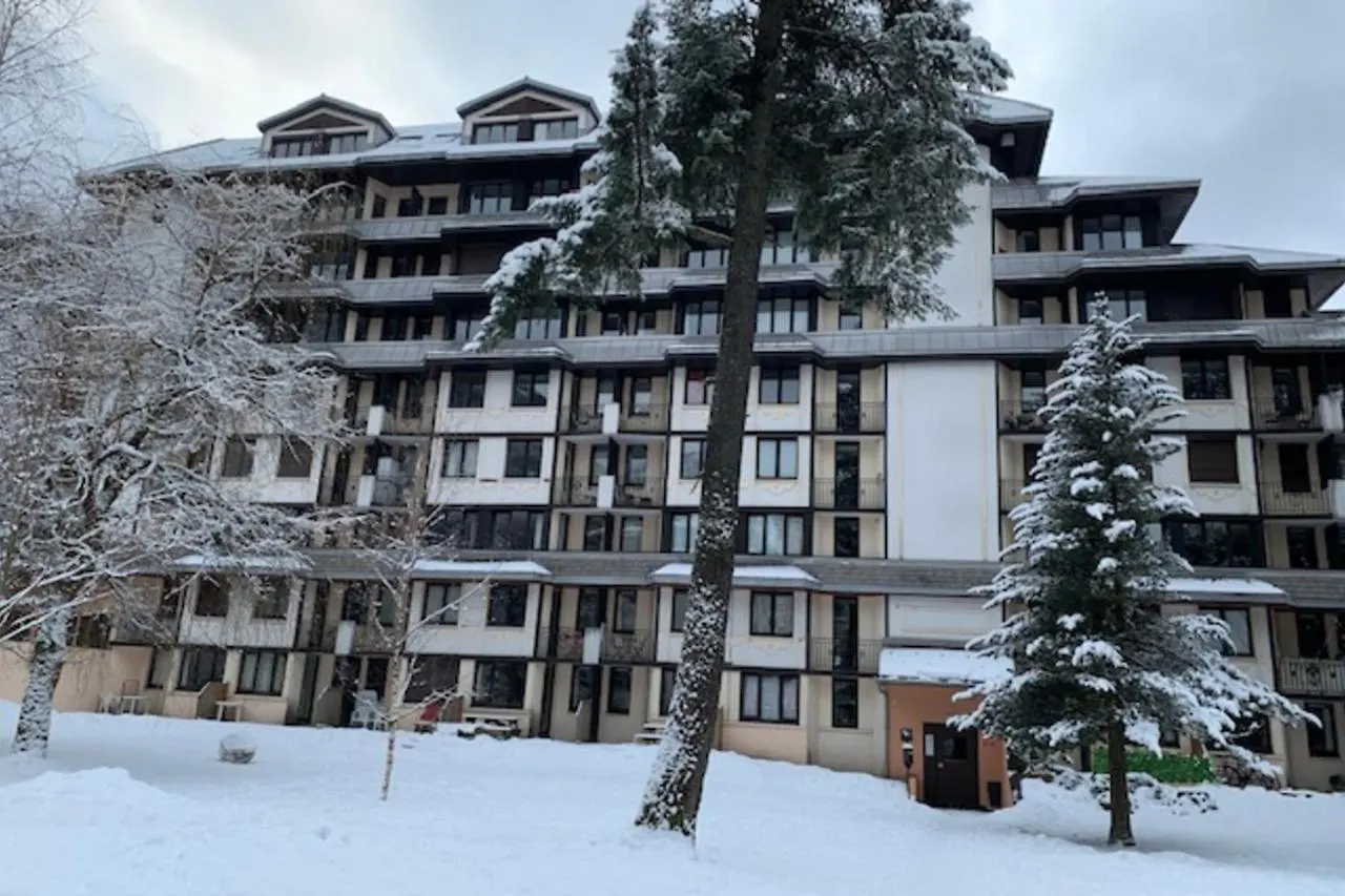 Pretty 27M With Beautiful Views Of The Mont Blanc Apartment Chamonix